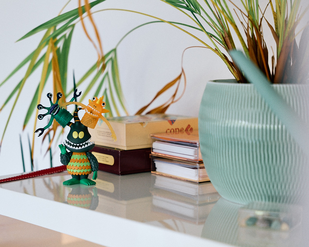 Regal mit Pflanze, Fachbüchern und Spielzeug im Therapieraum