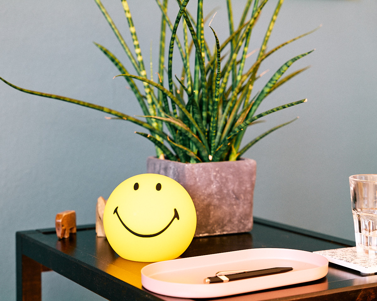 Beistelltisch mit Pflanze und Smiley-Leuchtball (Mr Maria)